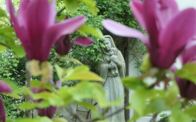 Halbjahresrückblick 2025